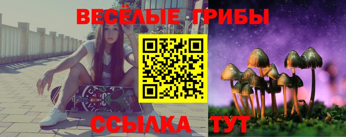 Галлюциногенные грибы мухоморы Нижнекамск